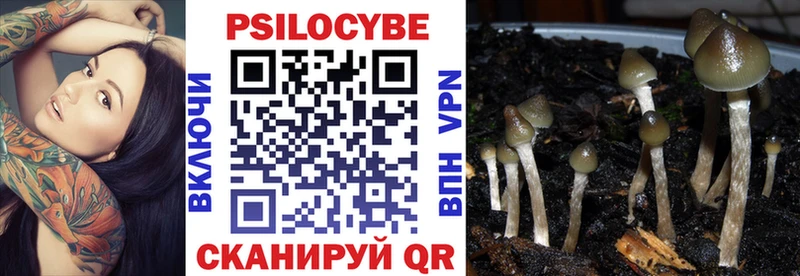 Псилоцибиновые грибы ЛСД  купить наркотики цена  Сосновка 